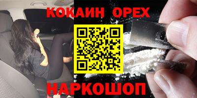 МДПВ Кингисепп
