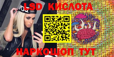 МДПВ Кингисепп
