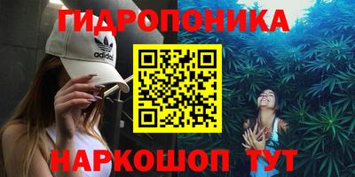 МДПВ Кингисепп