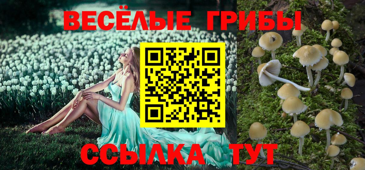 Галлюциногенные грибы Cubensis  Вход с VPN  Кудымкар  Псилоцибиновые грибы ЛСД 